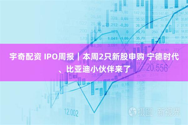 宇奇配资 IPO周报｜本周2只新股申购 宁德时代、比亚迪小伙伴来了