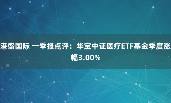 港盛国际 一季报点评：华宝中证医疗ETF基金季度涨幅3.00%