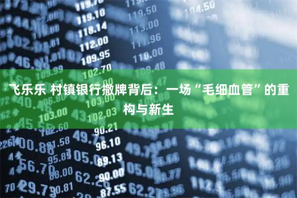 飞乐乐 村镇银行撤牌背后：一场“毛细血管”的重构与新生